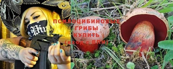 крисы Алзамай