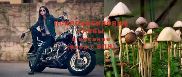 амф Алексеевка