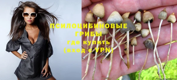 амф Алексеевка