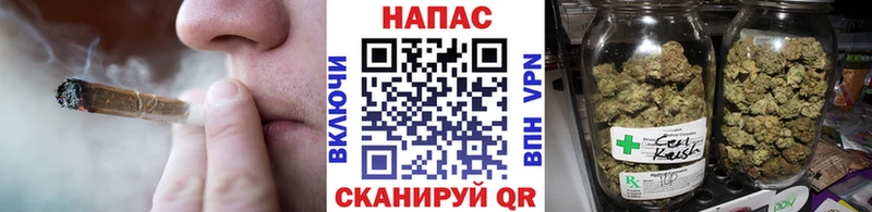 Марихуана план  Купить  Медногорск 